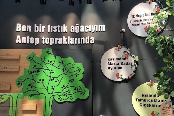 Fıstık Park Cafe Restoran - Resim 14