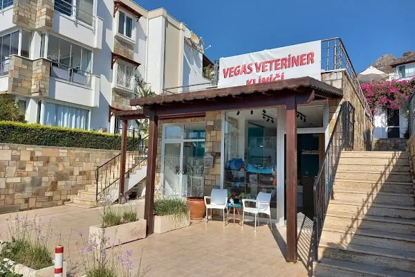 Vegas Veteriner Kliniği - Resim 2
