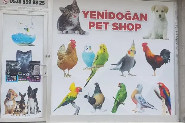 YENİDOĞAN PETSHOP - Resim 20