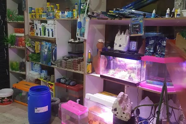 YENİDOĞAN PETSHOP - Resim 4