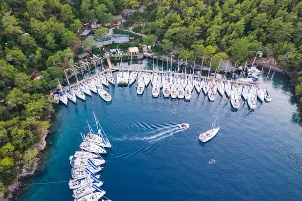 Küçük Sarsala Restaurant - Resim 4