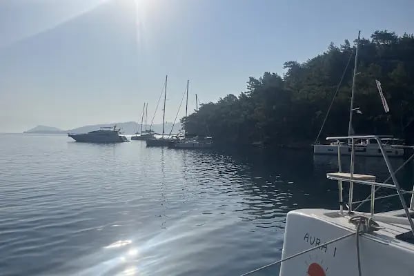 Küçük Sarsala Restaurant - Resim 10