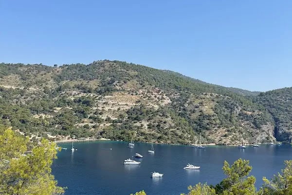 Küçük Sarsala Restaurant - Resim 11