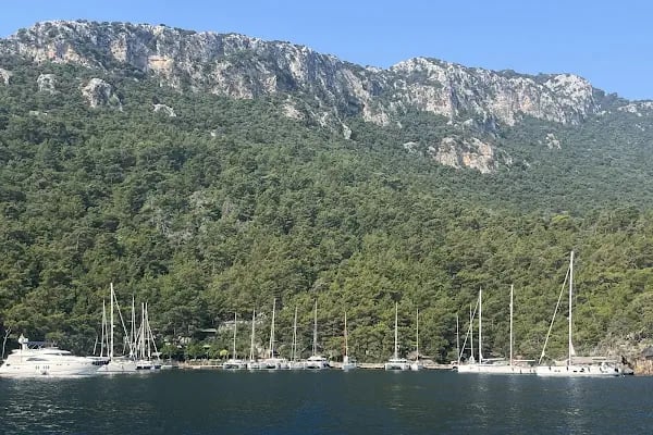 Küçük Sarsala Restaurant - Resim 6