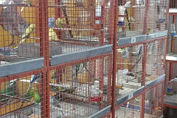 DEMİRCAN PET SHOP - Resim 3