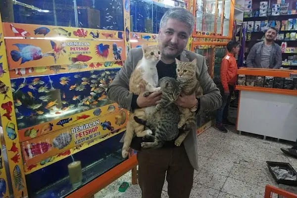 DEMİRCAN PET SHOP - Resim 17