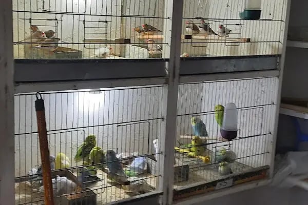 DEMİRCAN PET SHOP - Resim 7