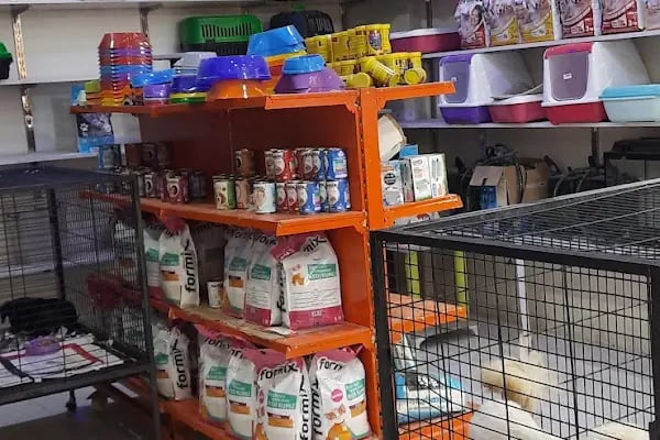 DEMİRCAN PET SHOP - Resim 11