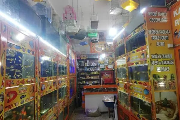 DEMİRCAN PET SHOP - Resim 9