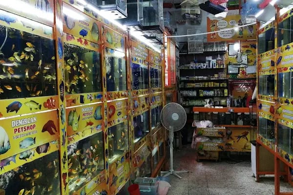 DEMİRCAN PET SHOP - Resim 6