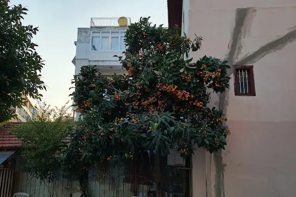 Güller Pınarı Mahallesi Muhtarlığı - Resim 2