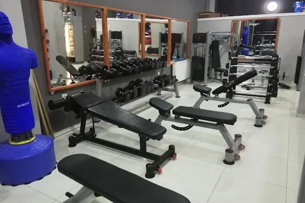 PROFESYONEL SPOR GO SPOR - Resim 15