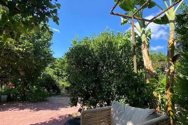 Lemon Garden Lodge - Resim 7