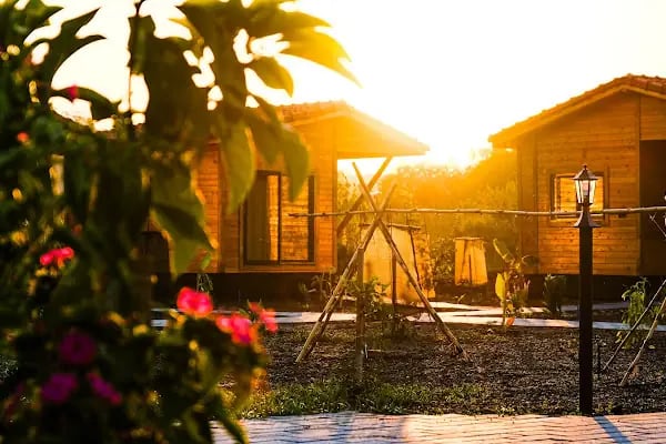 Lemon Garden Lodge - Resim 9