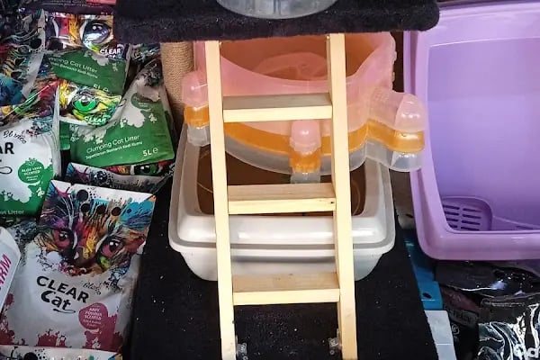 ESKA PETSHOP KUS AKVARYUM CENNETİ - Resim 9