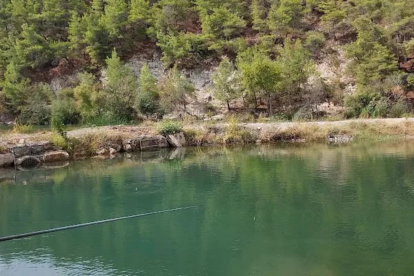 Alara Şevket Demirel İlkögretim Okulu - Resim 2