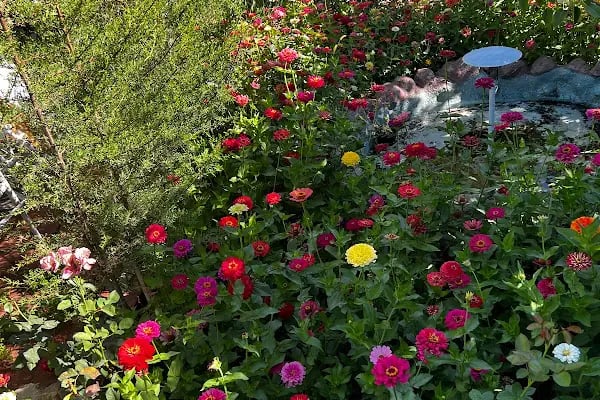 Bahçebaşı kır düğün salonu ve davet nişan evi - Resim 5