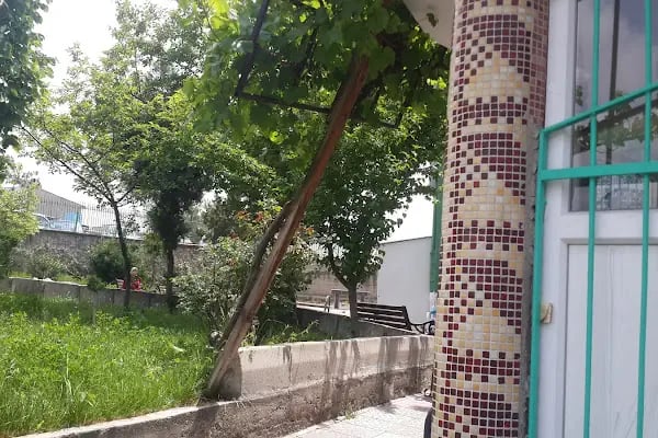 Çalışkanlar Yenievler Cami - Resim 3