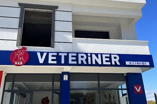 Nar Veteriner Kliniği - Resim 20
