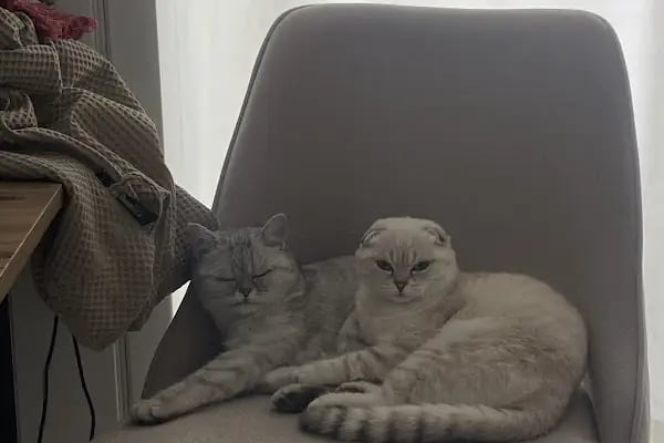 Nar Veteriner Kliniği - Resim 15