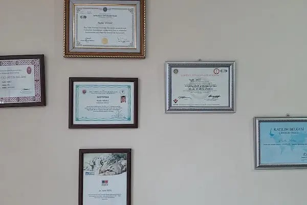 Cücenoğlu Veteriner Kliniği - Resim 4