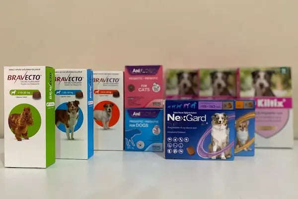 Cücenoğlu Veteriner Kliniği - Resim 2