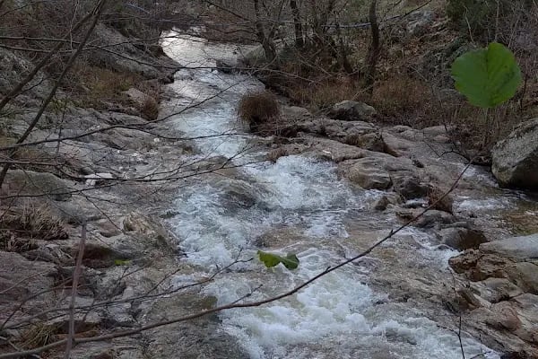 Çaylak Büyük Şelale - Resim 3