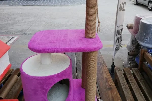KONYA PETSHOP - Resim 7