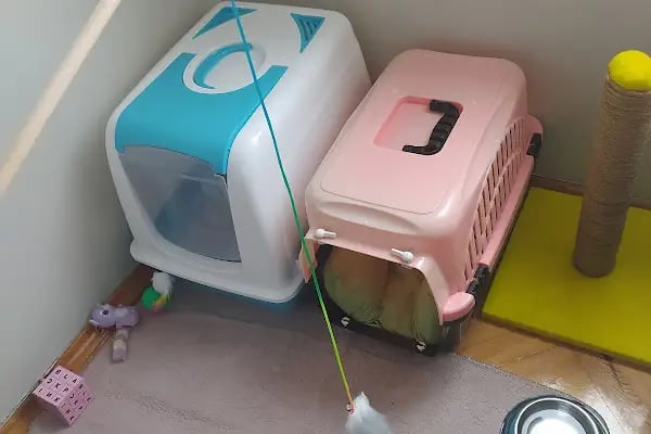 KONYA PETSHOP - Resim 6