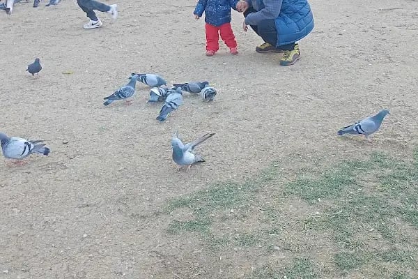 Türk Kızılayı M. Vehbi Bolak Kan Mer. - Resim 2