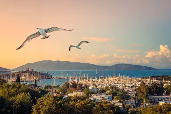 Aden Rent A Car Bodrum - Resim 2