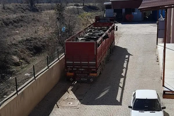Kayioglu nakliyat insaat bims pancar kuspesi slaj saman - Resim 1