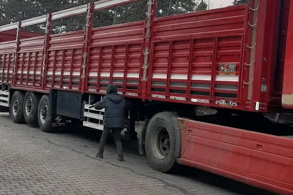 Kayioglu nakliyat insaat bims pancar kuspesi slaj saman - Resim 4