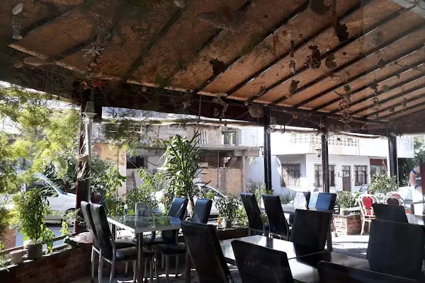 Olta balık evi - Resim 15