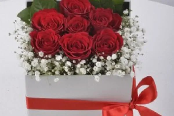 Alanya Buket Ulaslararası Çiçekçilik - Resim 5