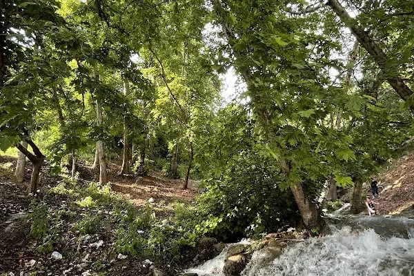 Atatürk Barajı Şelalesi - Resim 4