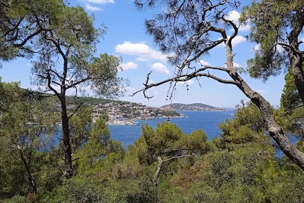 Heybeliada İskele - Resim 20