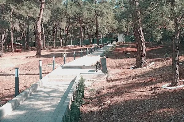 Heybeliada İskele - Resim 8