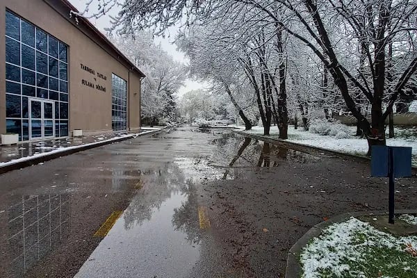 Ankara Üniversitesi Ziraat Fakültesi Bitki Koruma Bölümü - Resim 3