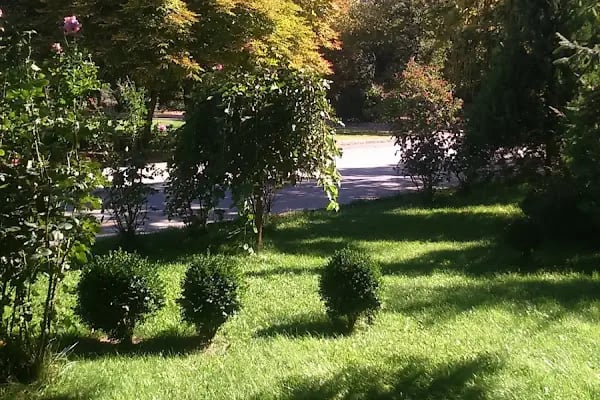 Ankara Üniversitesi Ziraat Fakültesi Bitki Koruma Bölümü - Resim 4