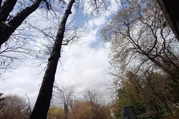 Ankara Üniversitesi Ziraat Fakültesi Bitki Koruma Bölümü - Resim 10