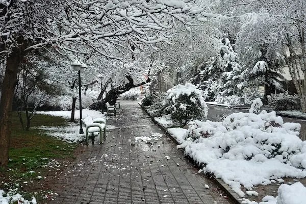 Ankara Üniversitesi Ziraat Fakültesi Bitki Koruma Bölümü - Resim 2