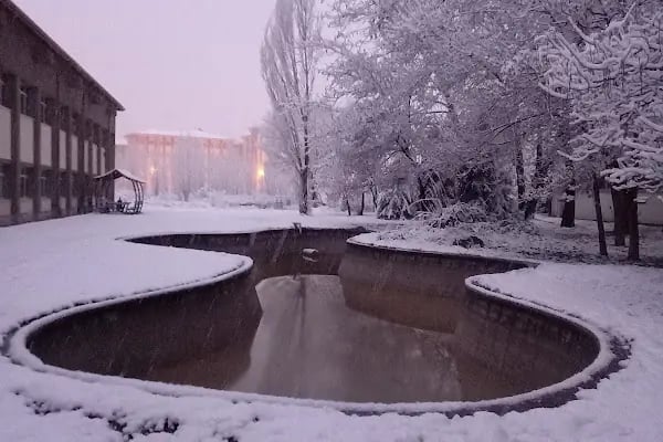 Ankara Üniversitesi Ziraat Fakültesi Bitki Koruma Bölümü - Resim 8
