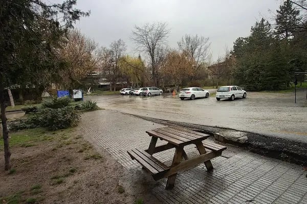 Ankara Üniversitesi Ziraat Fakültesi Bitki Koruma Bölümü - Resim 9