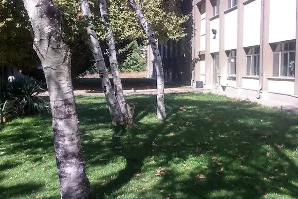 Ankara Üniversitesi Ziraat Fakültesi Bitki Koruma Bölümü - Resim 19