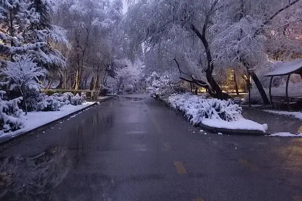 Ankara Üniversitesi Ziraat Fakültesi Bitki Koruma Bölümü - Resim 12