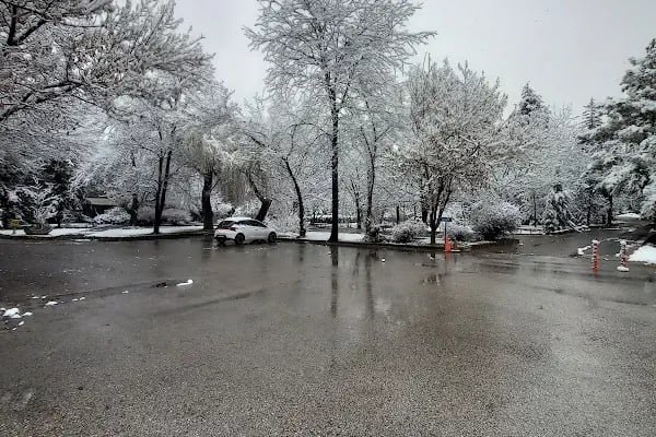Ankara Üniversitesi Ziraat Fakültesi Bitki Koruma Bölümü - Resim 17