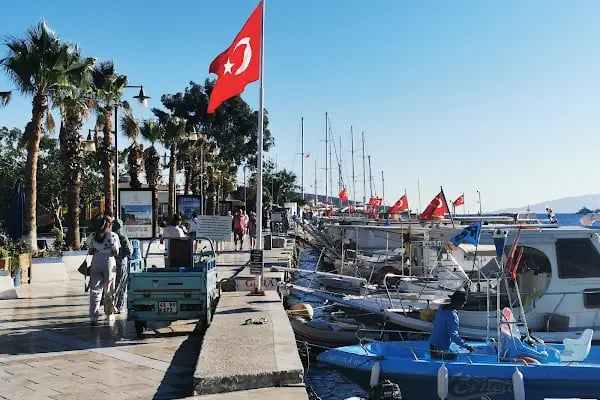 Bodrum Merkez Elektronik - Resim 7