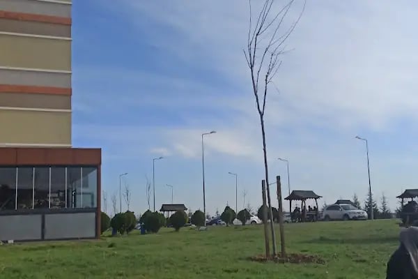 Kocaeli Üniversitesi İlahiyat Fakültesi - Resim 6