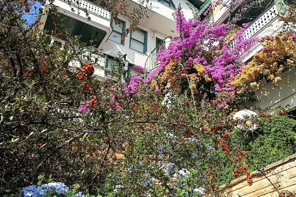 Burgazada Sait Faik Abası Yanık İlköğretim Okulu - Resim 17